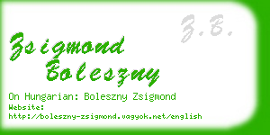 zsigmond boleszny business card